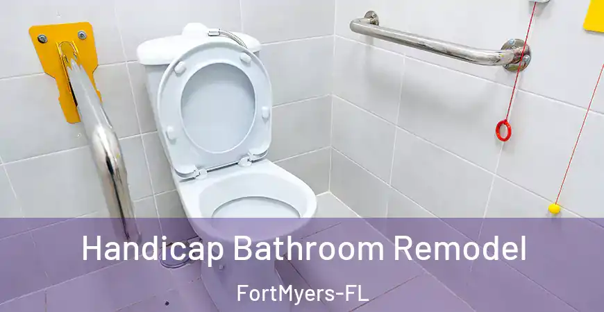 inner Bathroom imggen Handicap Bathroom Remodel FortMyers-FL